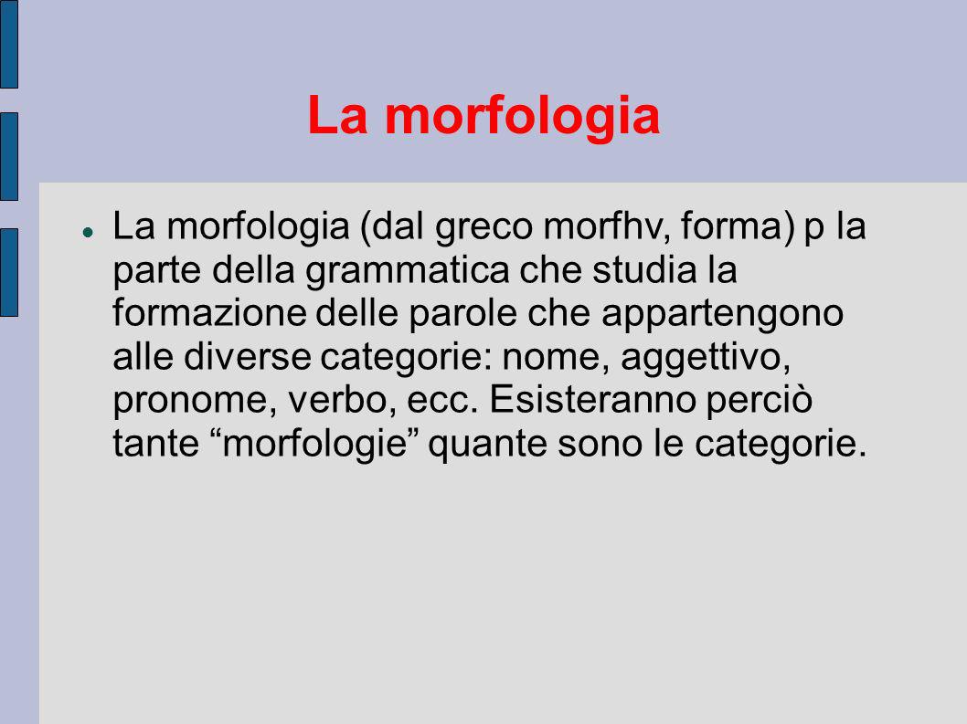 La morfologia