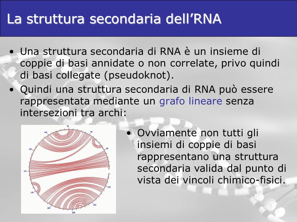 La struttura secondaria dell’RNA