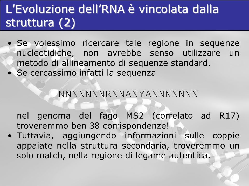 L’Evoluzione dell’RNA è vincolata dalla struttura (2)