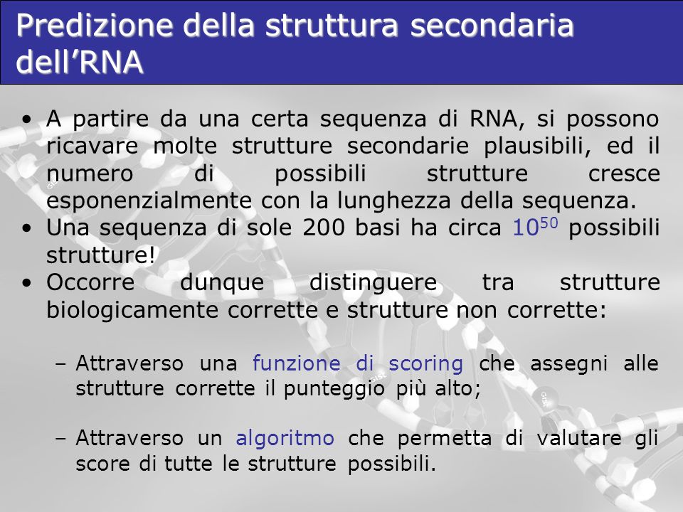 Predizione della struttura secondaria dell’RNA