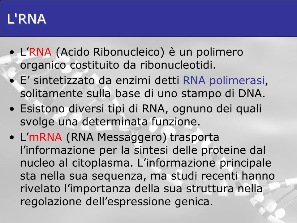 L RNA L’RNA (Acido Ribonucleico) è un polimero organico costituito da ribonucleotidi.