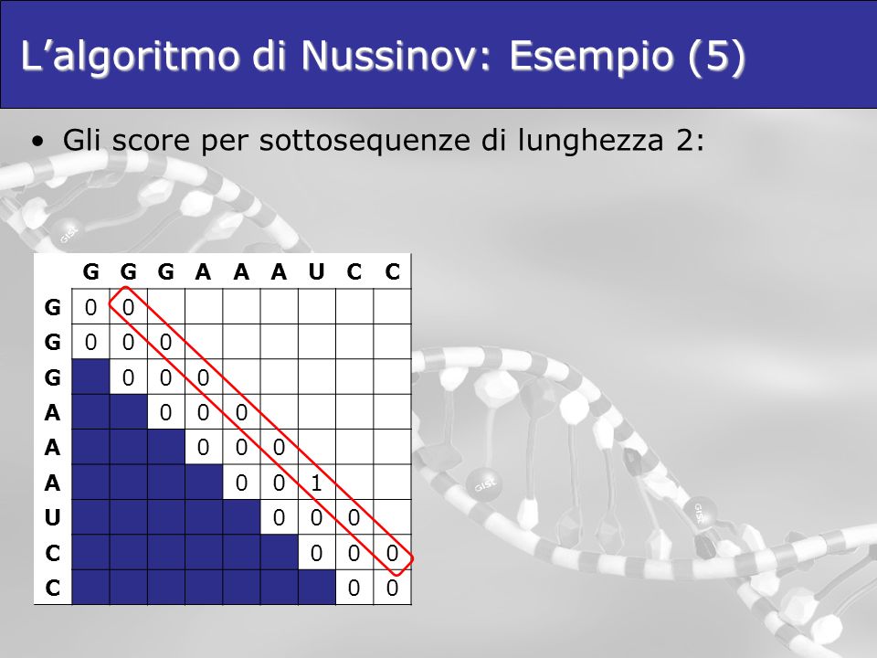 L’algoritmo di Nussinov: Esempio (5)