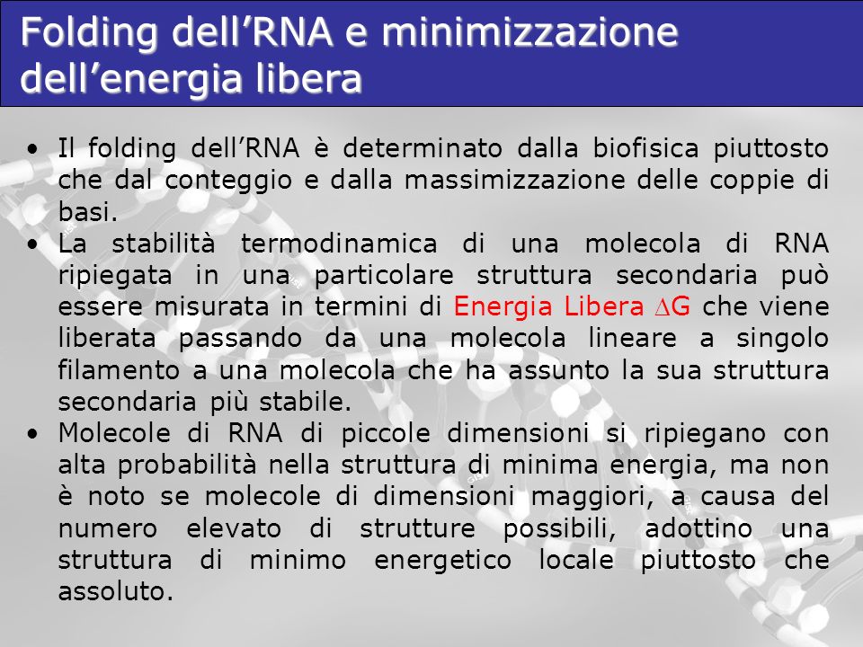 Folding dell’RNA e minimizzazione dell’energia libera