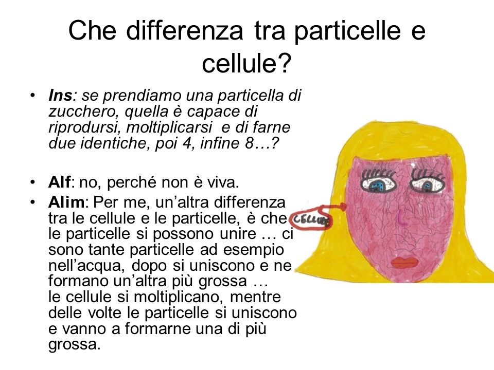 Che differenza tra particelle e cellule