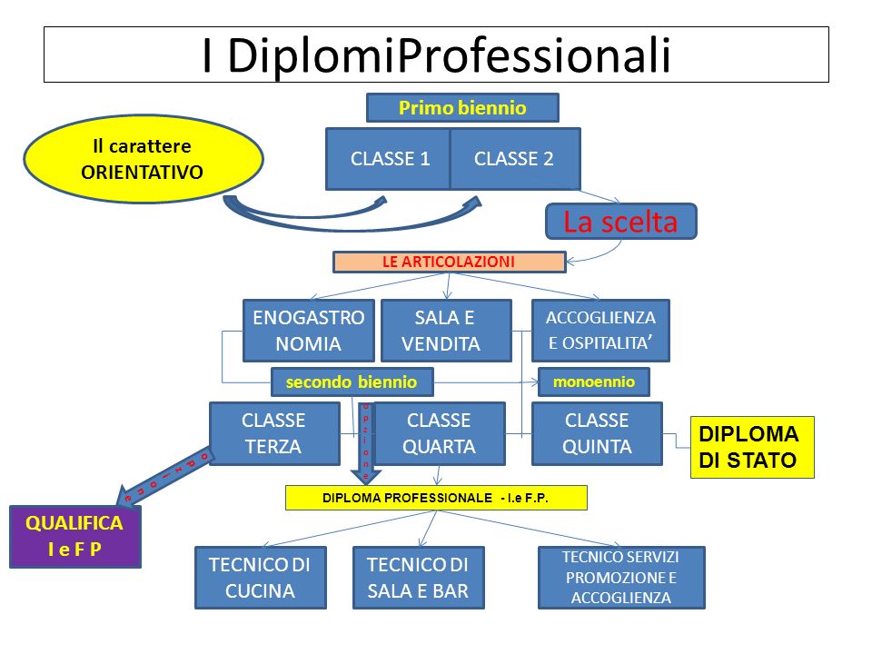 I DiplomiProfessionali