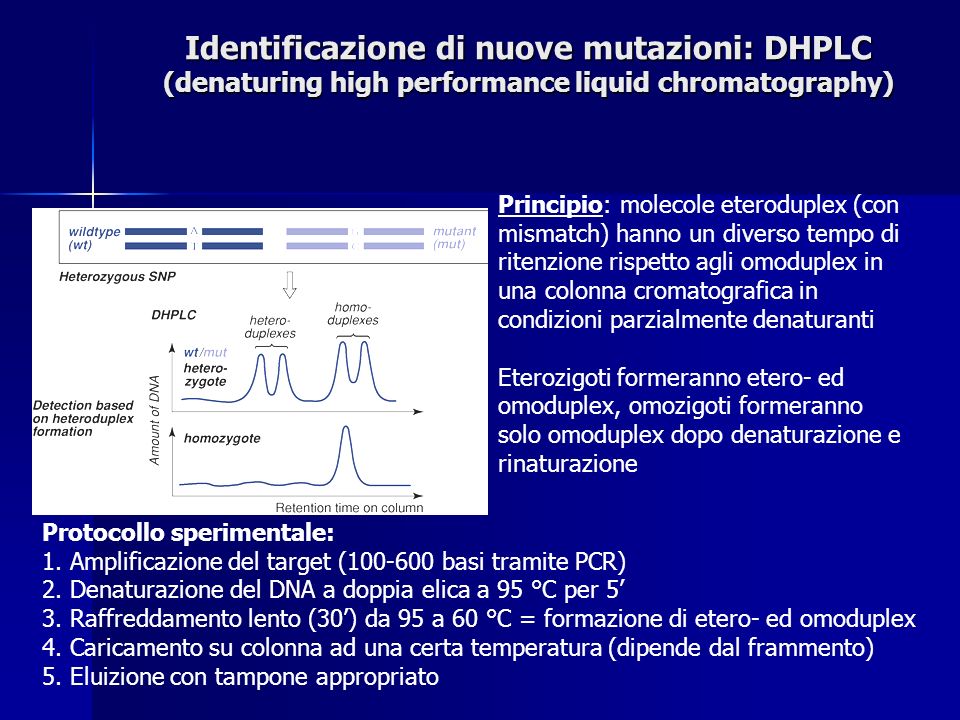 Identificazione di nuove mutazioni: DHPLC (denaturing high performance liquid chromatography)