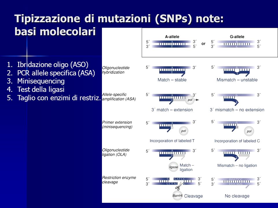 Tipizzazione di mutazioni (SNPs) note: basi molecolari