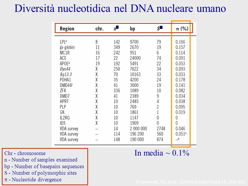 Diversità nucleotidica nel DNA nucleare umano