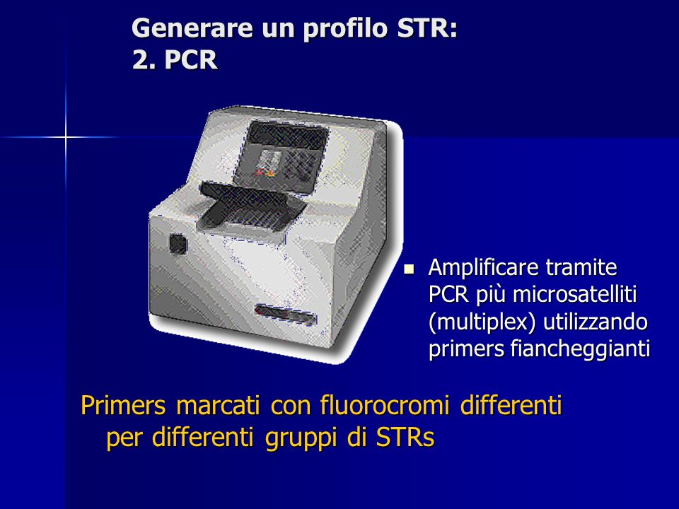 Generare un profilo STR: 2. PCR