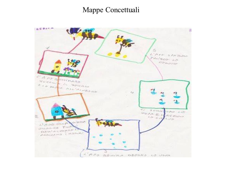 Mappe Concettuali