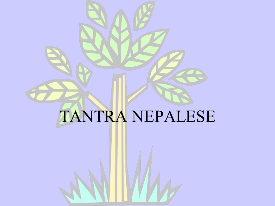 TANTRA NEPALESE