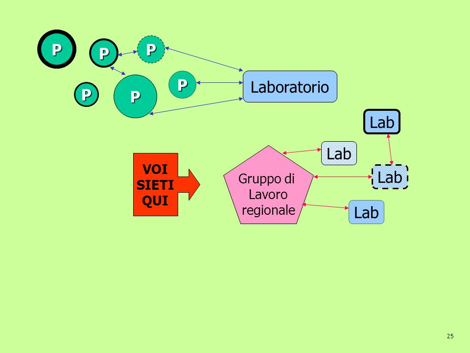 P P P P Laboratorio P P Lab Lab Lab Lab VOI Gruppo di SIETI Lavoro QUI