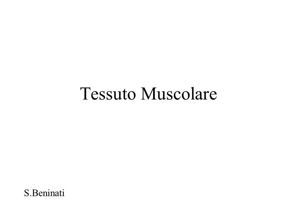 Tessuto Muscolare S.Beninati