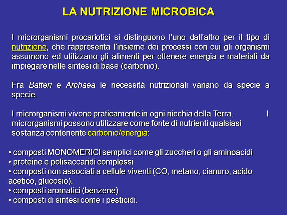 LA NUTRIZIONE MICROBICA