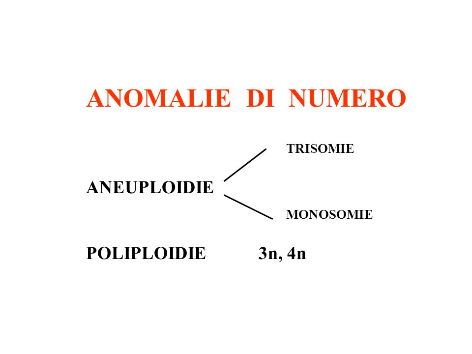 ANOMALIE DI NUMERO ANEUPLOIDIE POLIPLOIDIE 3n, 4n TRISOMIE MONOSOMIE