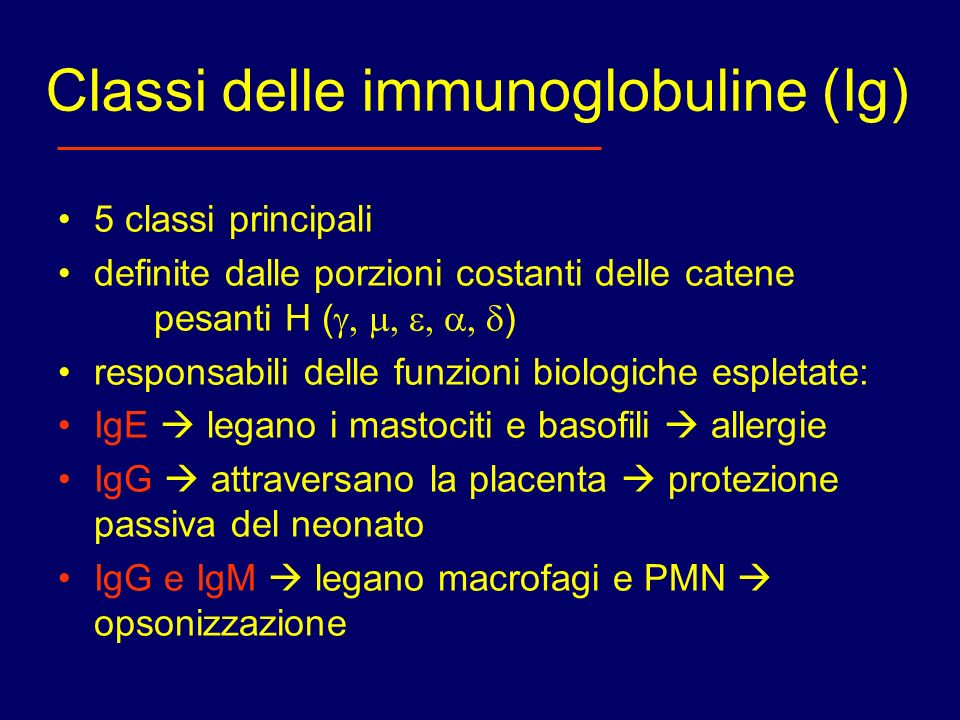 Classi delle immunoglobuline (Ig)
