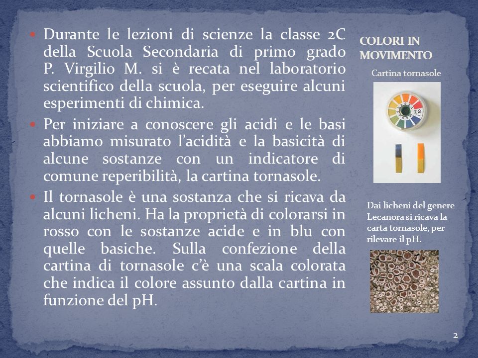 Durante le lezioni di scienze la classe 2C della Scuola Secondaria di primo grado P. Virgilio M. si è recata nel laboratorio scientifico della scuola, per eseguire alcuni esperimenti di chimica.