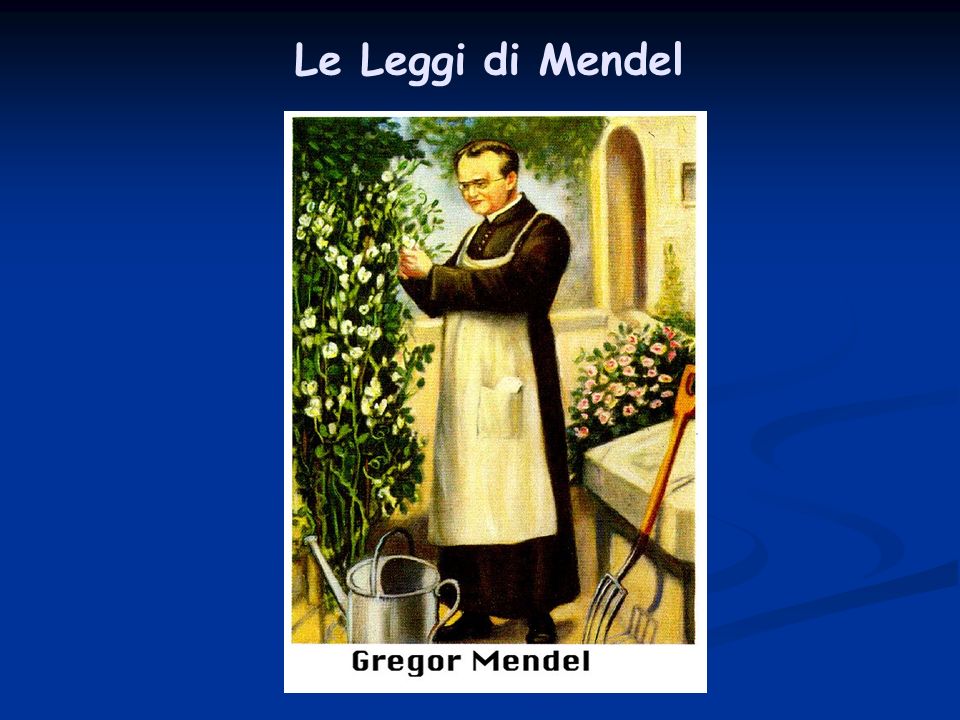 Le Leggi di Mendel