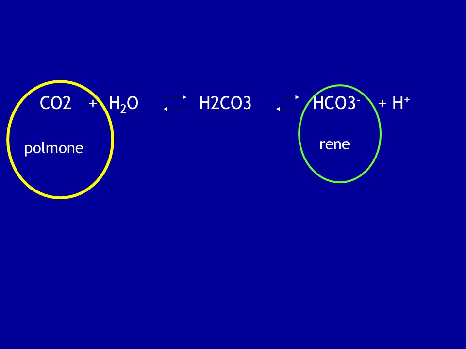 H2o газообразный. Co2+h2. H2co3. Co2 h2co3. Hco3 h2co3.