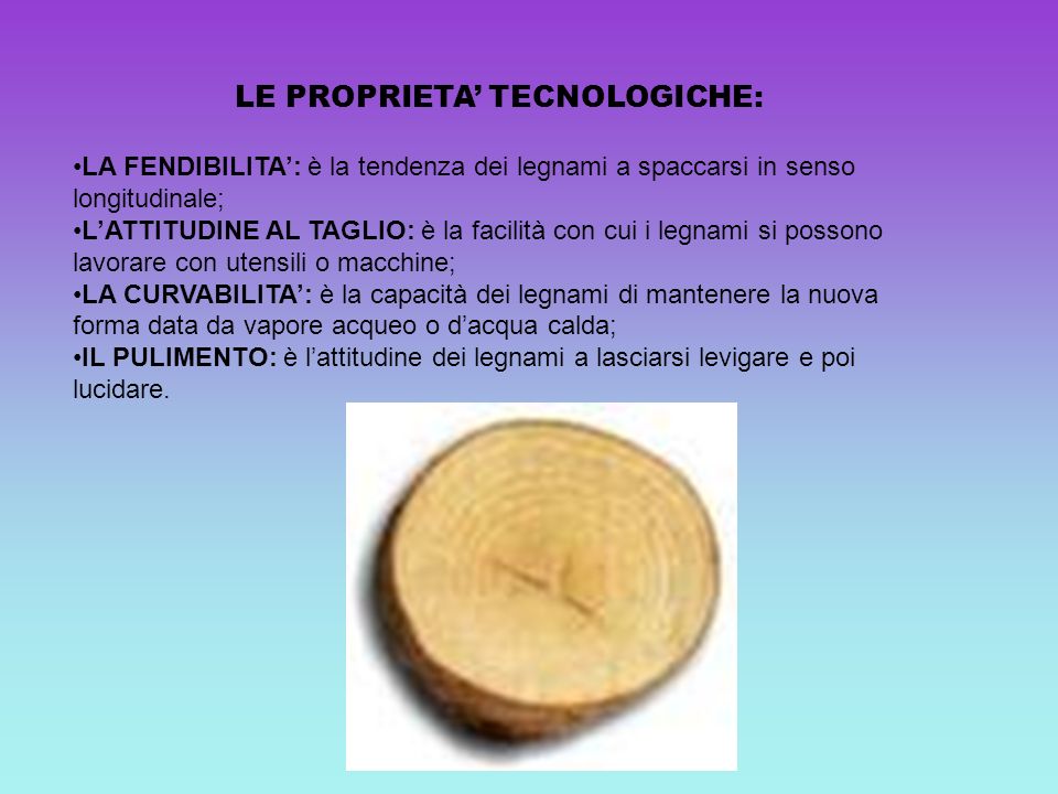 LE PROPRIETA’ TECNOLOGICHE: