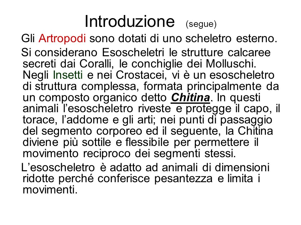 Introduzione (segue) Gli Artropodi sono dotati di uno scheletro esterno.