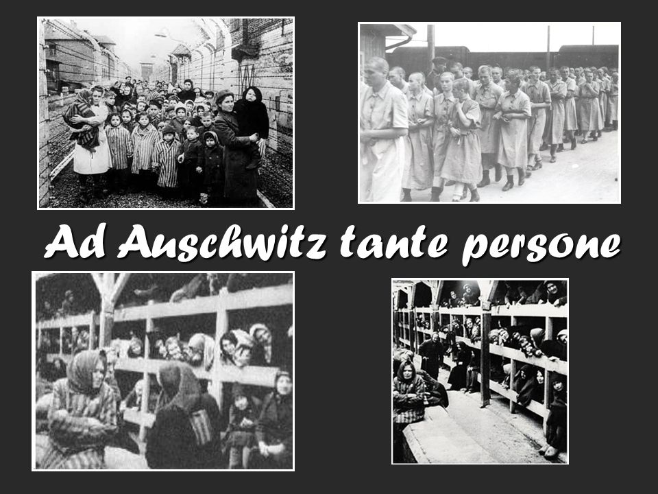 Ad Auschwitz tante persone