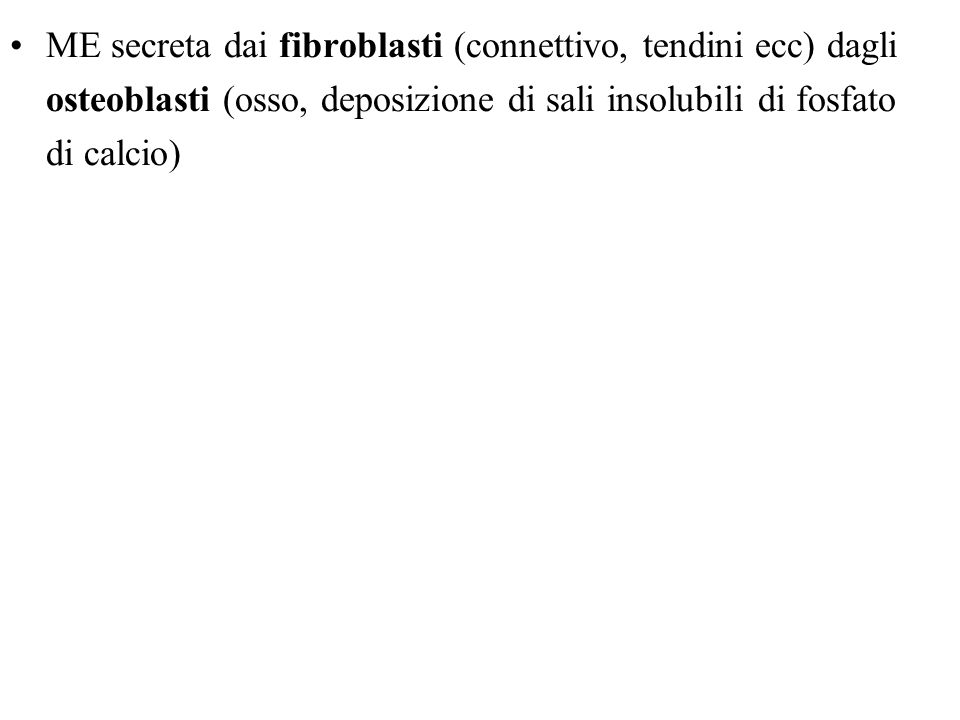 ME secreta dai fibroblasti (connettivo, tendini ecc) dagli osteoblasti (osso, deposizione di sali insolubili di fosfato di calcio)