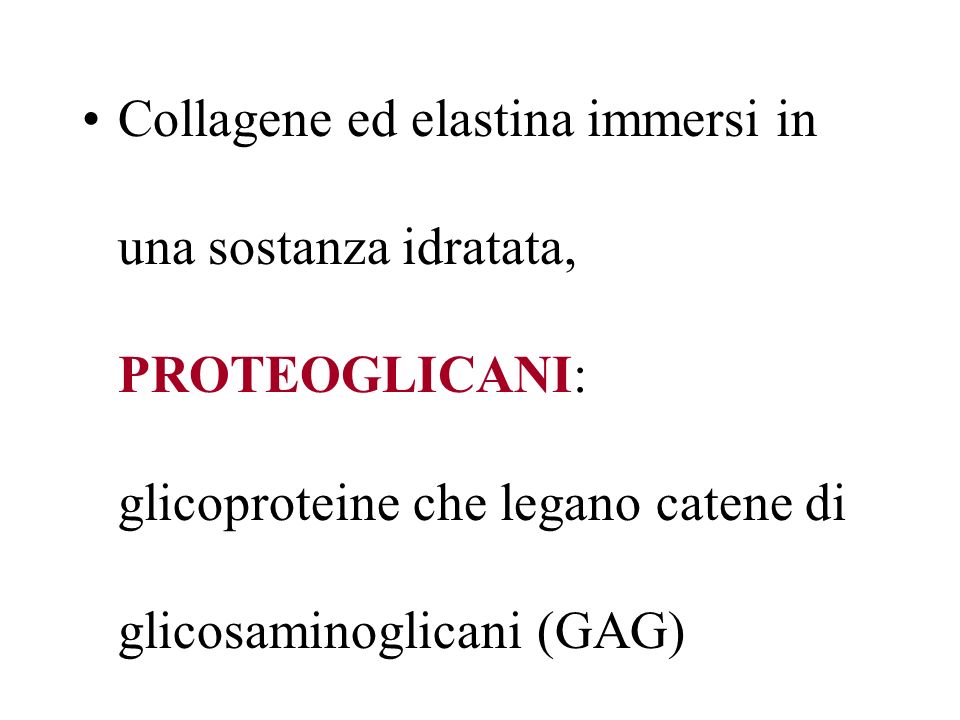 Collagene ed elastina immersi in una sostanza idratata, PROTEOGLICANI: glicoproteine che legano catene di glicosaminoglicani (GAG)