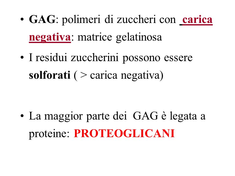 GAG: polimeri di zuccheri con carica negativa: matrice gelatinosa