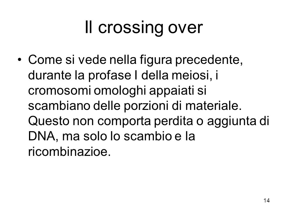 Il crossing over