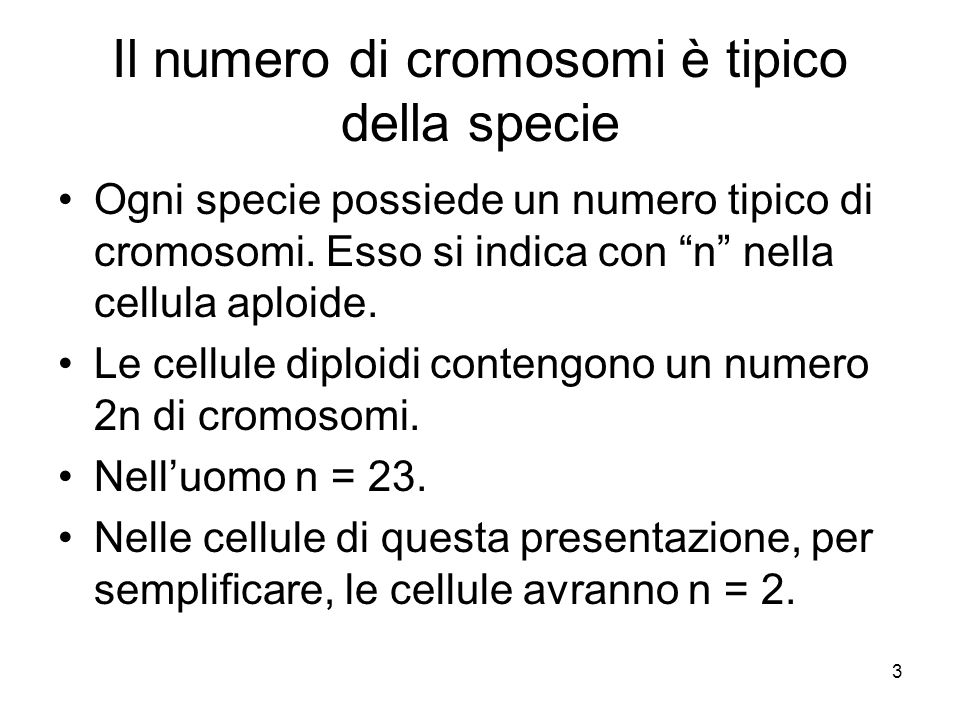 Il numero di cromosomi è tipico della specie