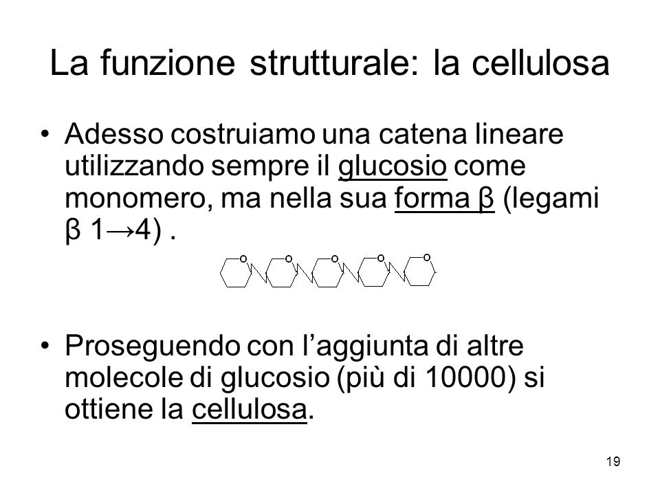 La funzione strutturale: la cellulosa