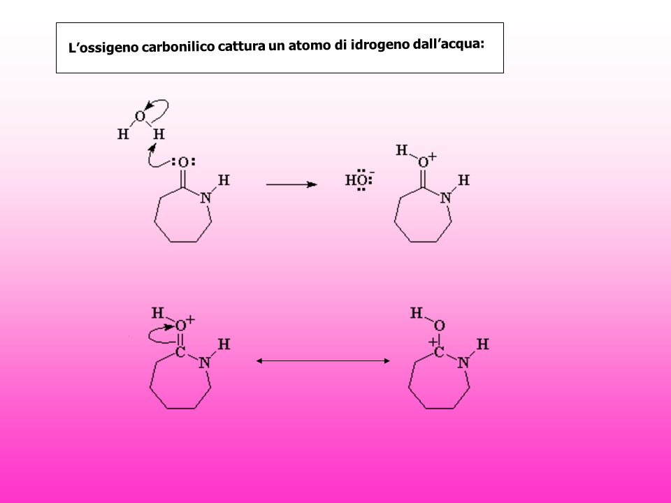 L’ossigeno carbonilico cattura un atomo di idrogeno dall’acqua: