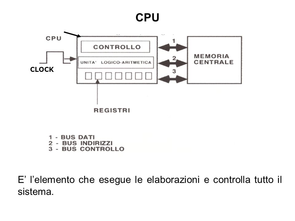 CPU CLOCK E’ l’elemento che esegue le elaborazioni e controlla tutto il sistema.