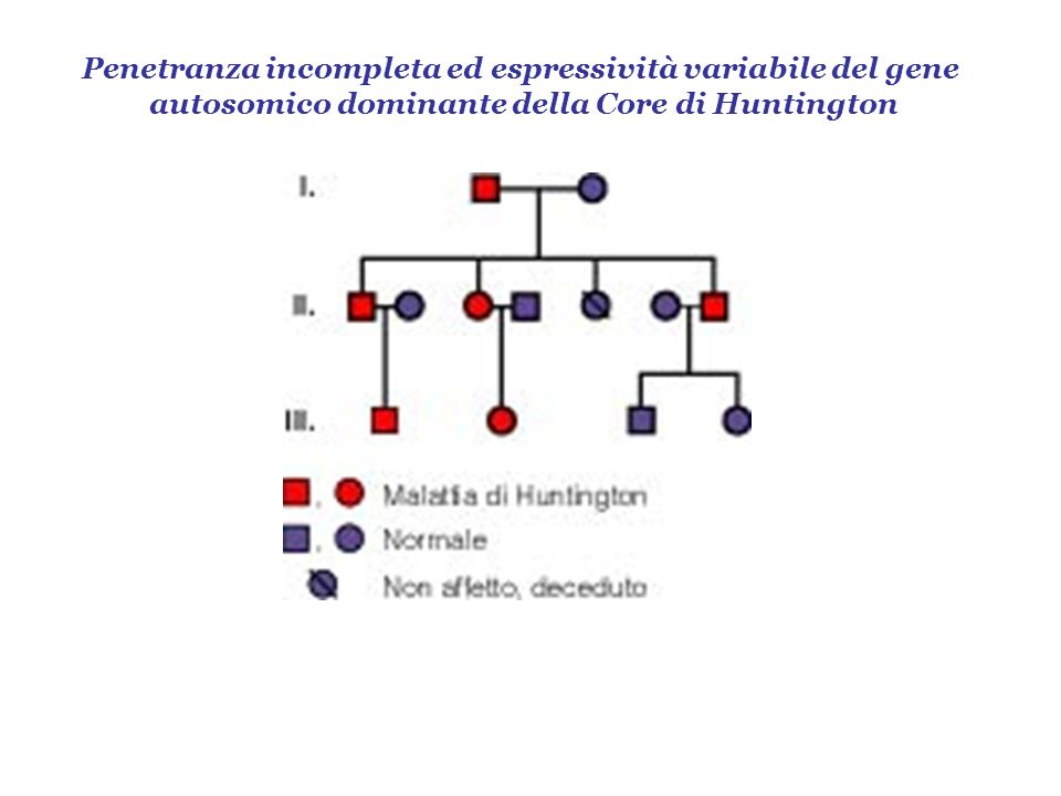 Penetranza incompleta ed espressività variabile del gene