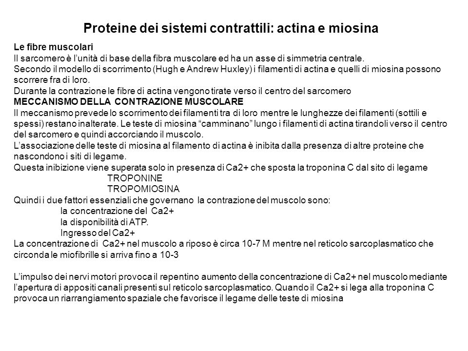 Proteine dei sistemi contrattili: actina e miosina