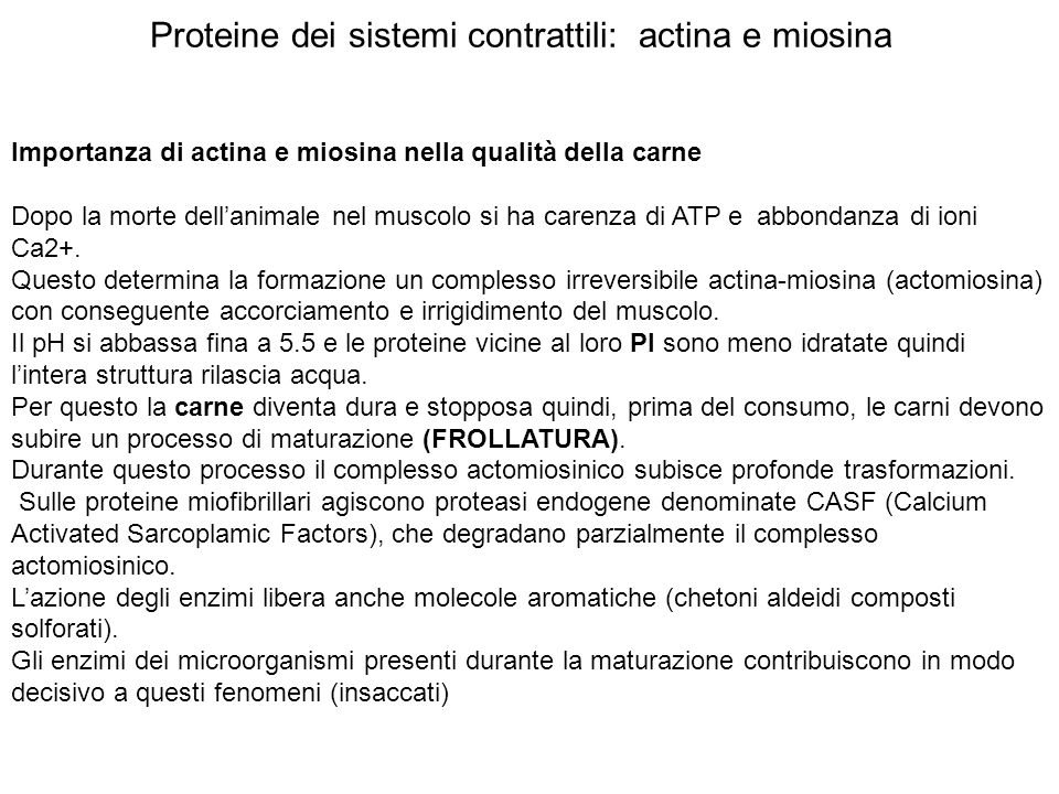Proteine dei sistemi contrattili: actina e miosina