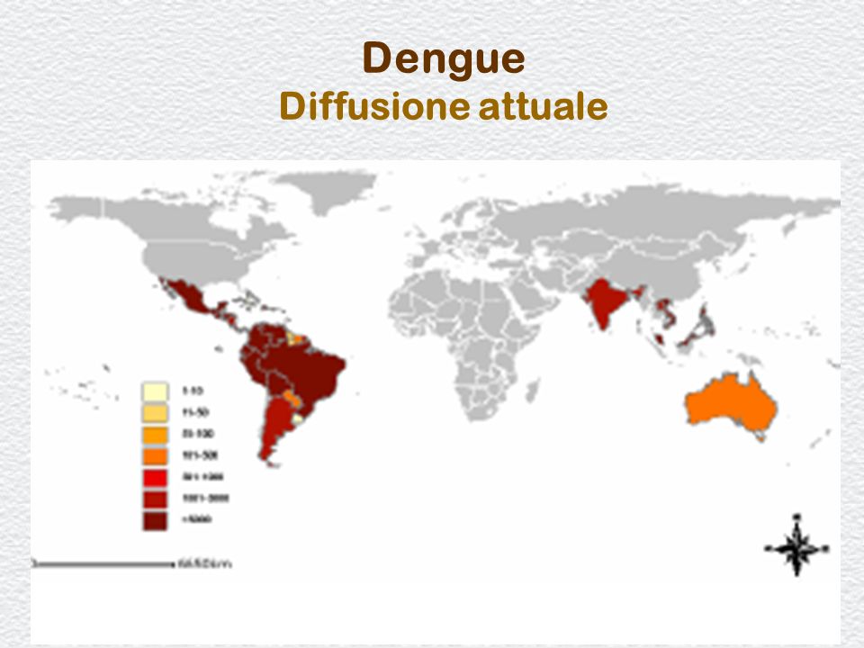 Dengue Diffusione attuale