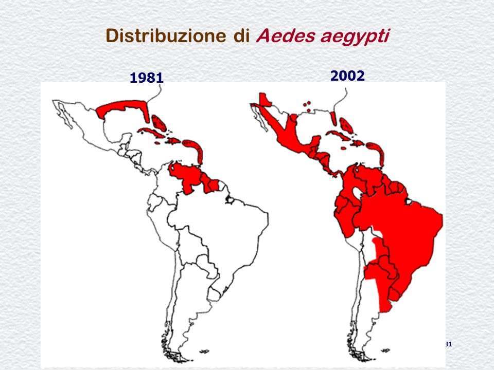 Distribuzione di Aedes aegypti