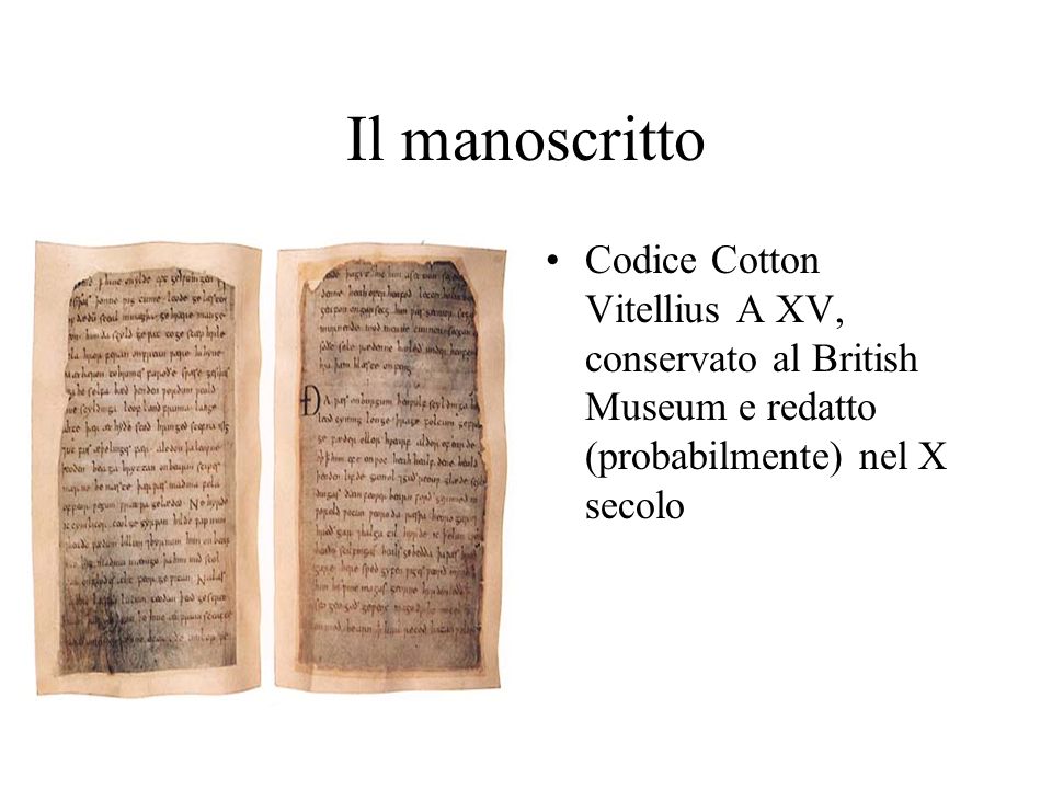 Il manoscritto Codice Cotton Vitellius A XV, conservato al British Museum e redatto (probabilmente) nel X secolo.