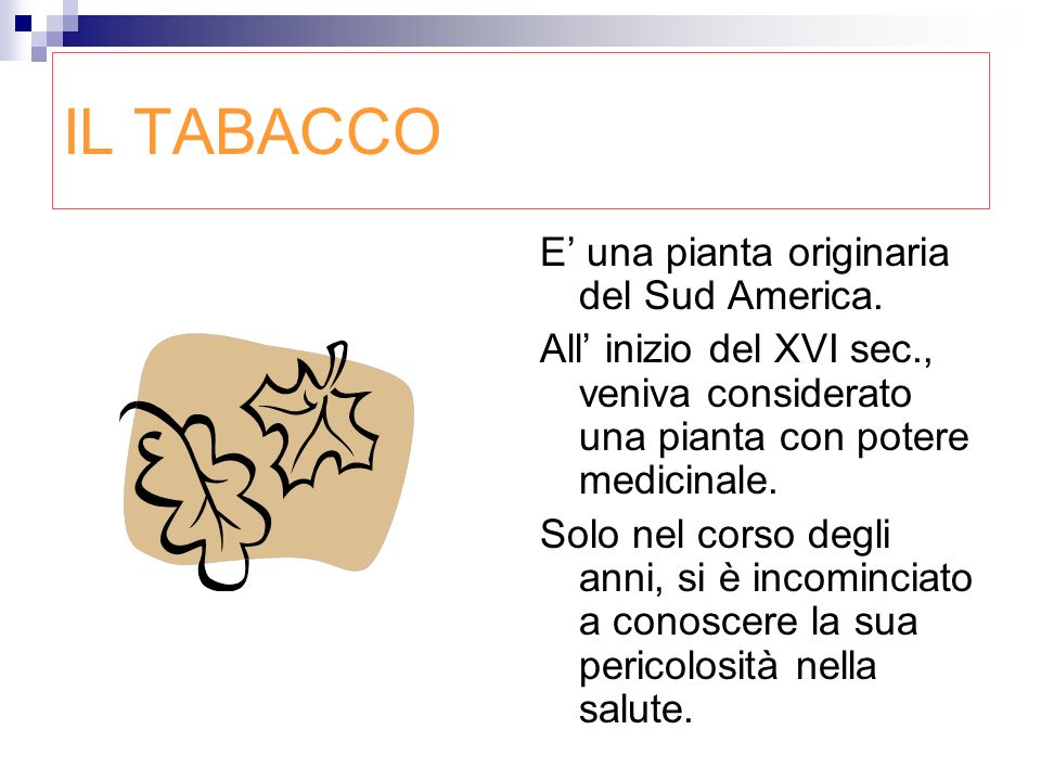 IL TABACCO E’ una pianta originaria del Sud America.