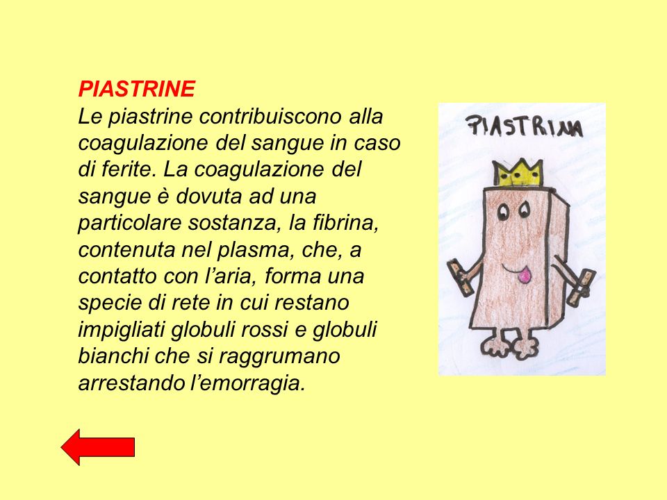 PIASTRINE