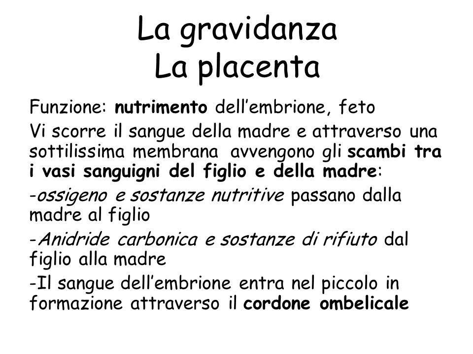 La gravidanza La placenta