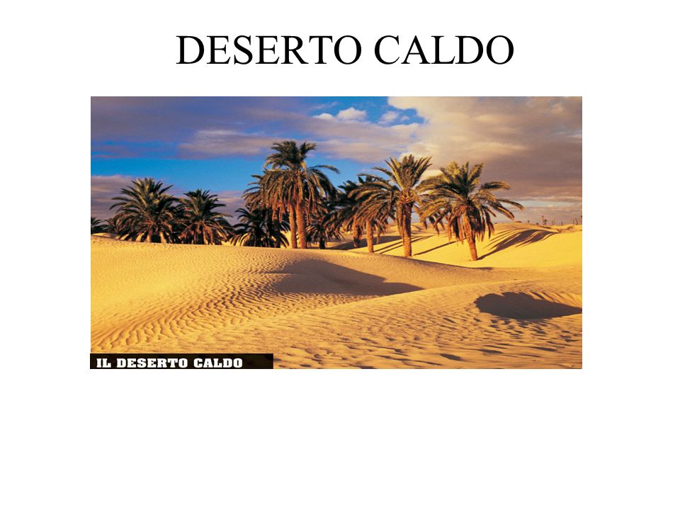 DESERTO CALDO