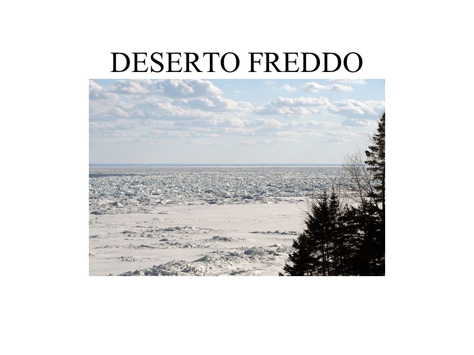 DESERTO FREDDO