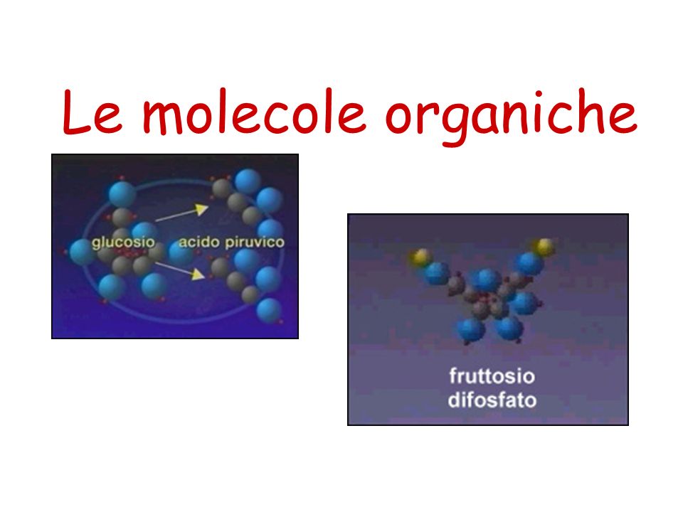 Le molecole organiche