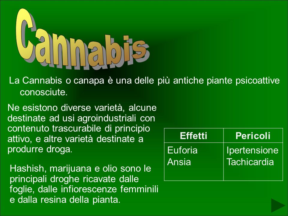 Cannabis La Cannabis o canapa è una delle più antiche piante psicoattive conosciute.