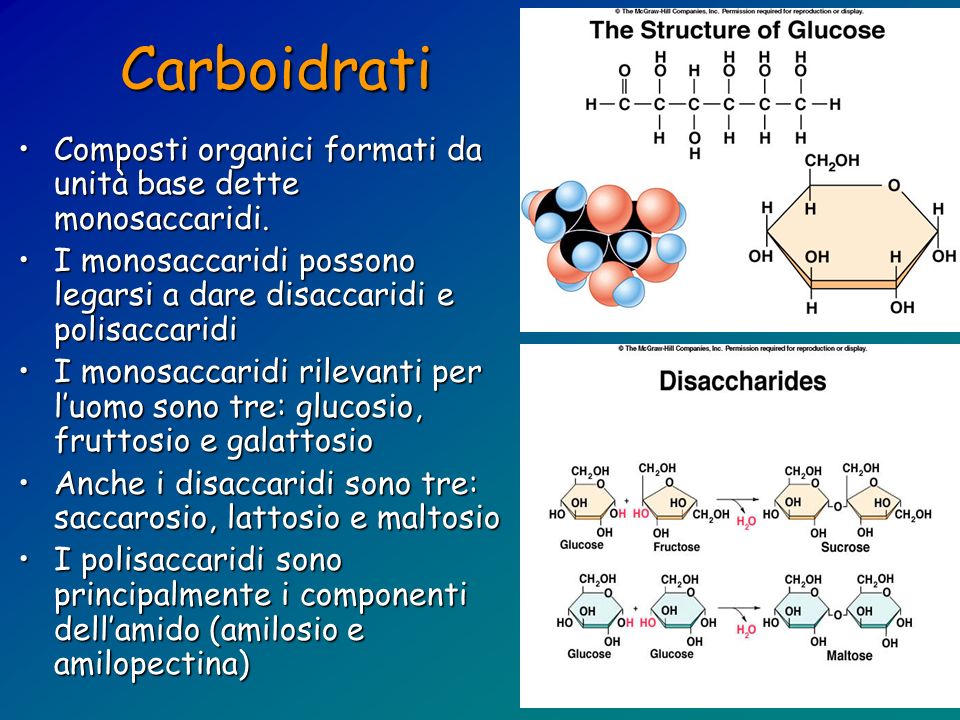 Carboidrati Composti organici formati da unità base dette monosaccaridi. I monosaccaridi possono legarsi a dare disaccaridi e polisaccaridi.