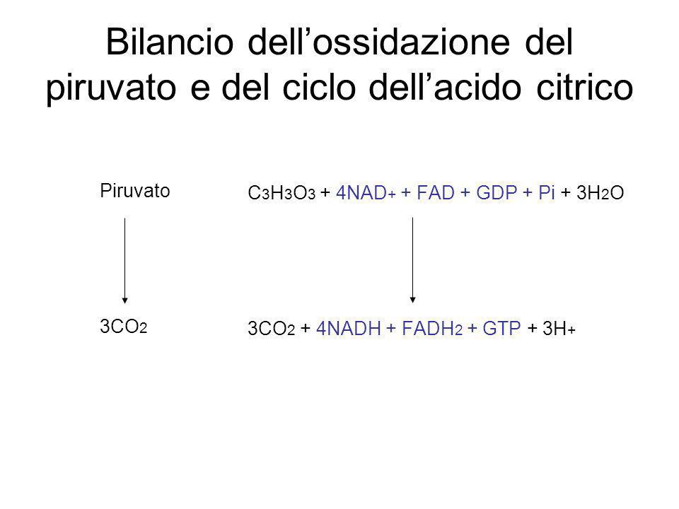 Bilancio dell’ossidazione del piruvato e del ciclo dell’acido citrico