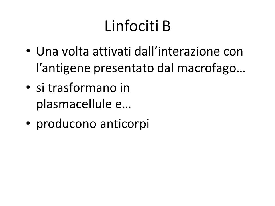 Linfociti B Una volta attivati dall’interazione con l’antigene presentato dal macrofago… si trasformano in plasmacellule e…